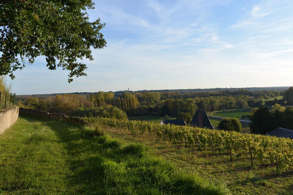 Gites Troglodytes Du Chateau De L'Etoile Vernou-sur-Brenne الغرفة الصورة