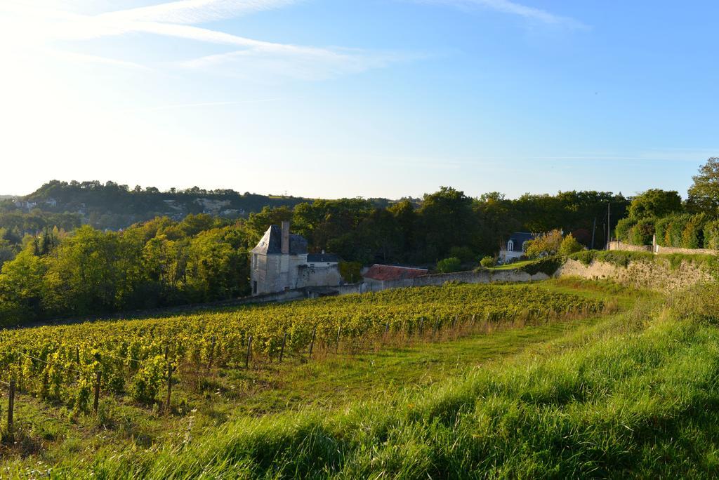 Gites Troglodytes Du Chateau De L'Etoile Vernou-sur-Brenne الغرفة الصورة