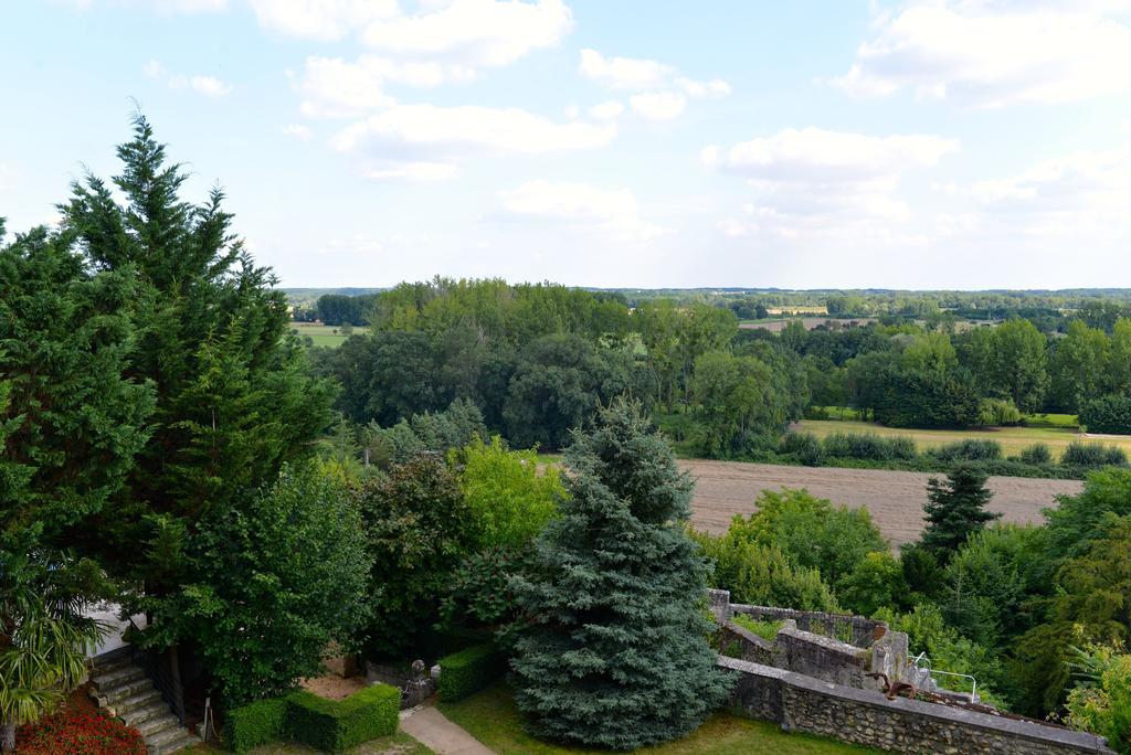 Gites Troglodytes Du Chateau De L'Etoile Vernou-sur-Brenne الغرفة الصورة